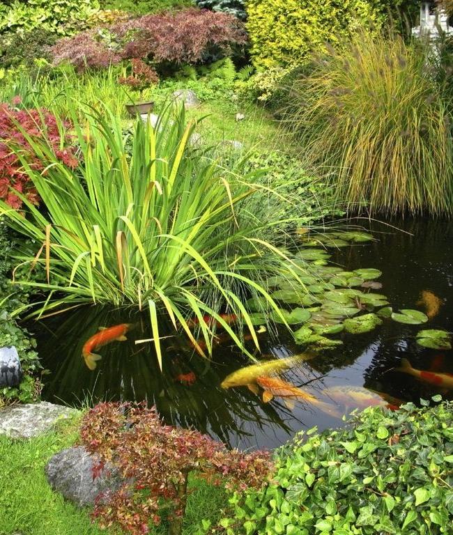 Artificial reservoir surrounded by picturesque greenery