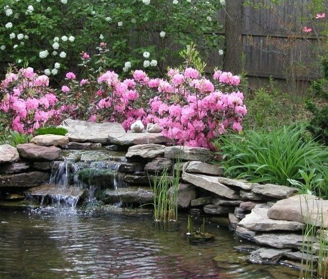 Bright pink flowers over an artificial waterfall