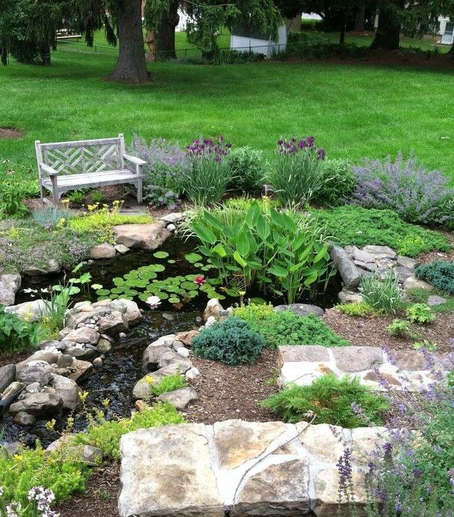 Pond with small island