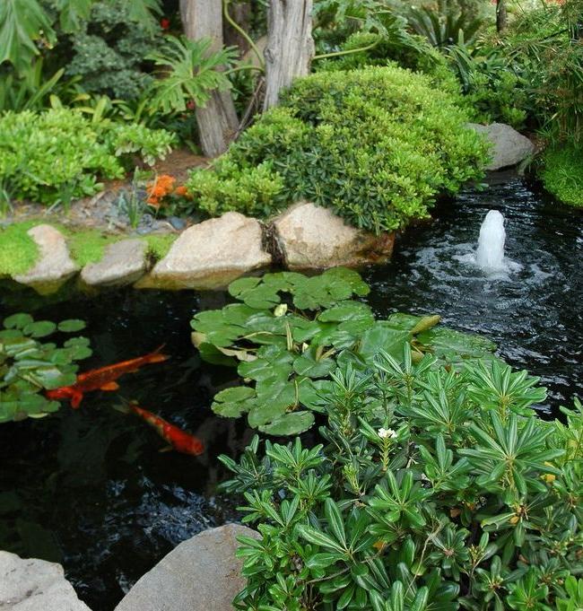 Small pond with fountain and red perches