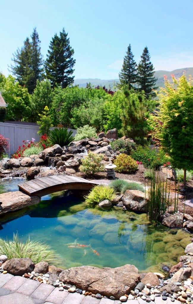 Wooden footbridge over a pond with perches