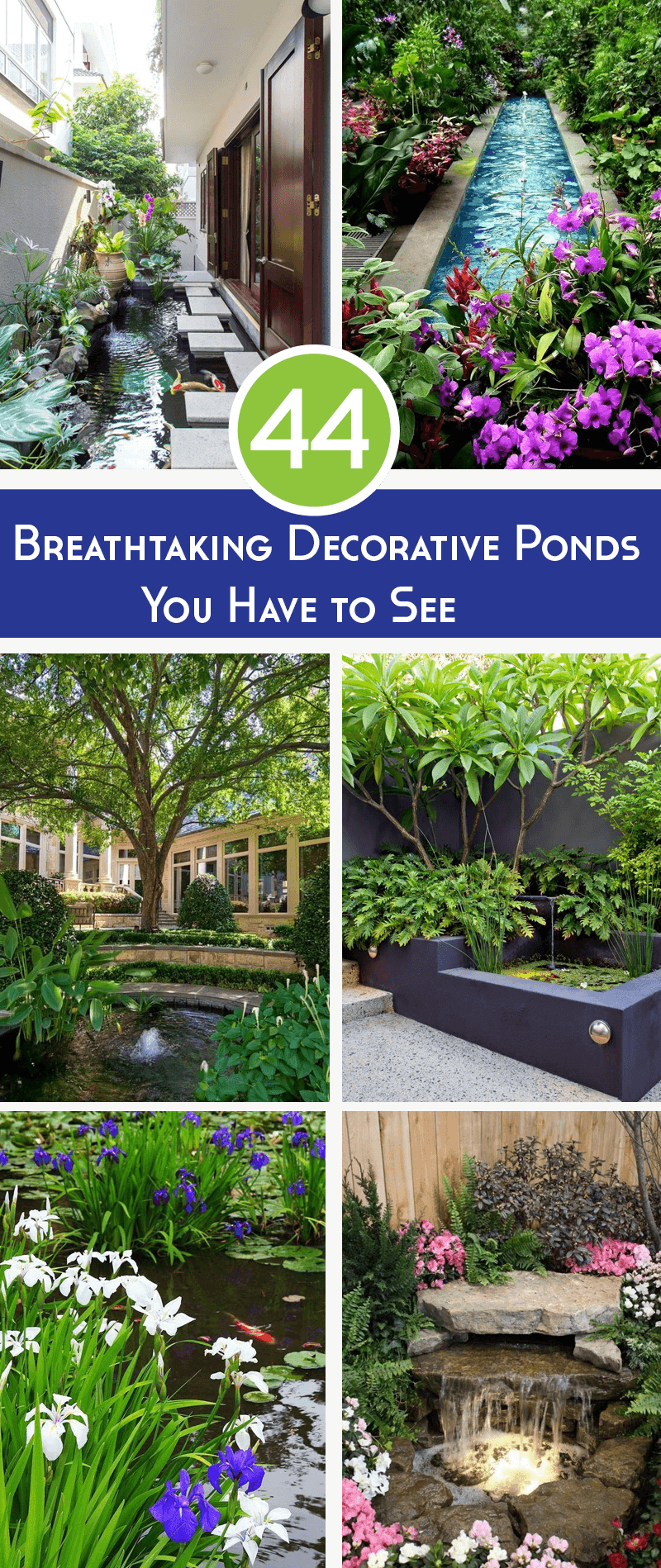 best decorative ponds